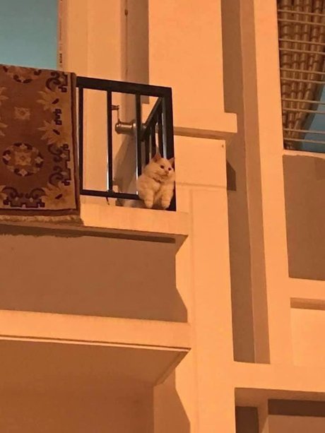 gros fessier onlyfans chaud xxx archive