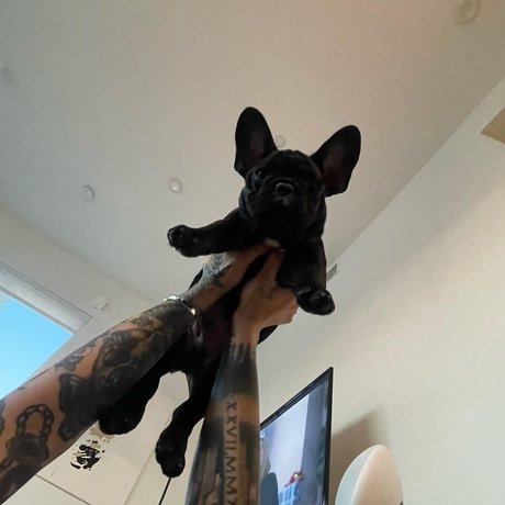 Mae Col joli modèle images