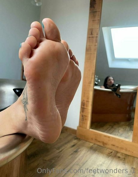 feetwonders 1 star du porno adulte collection