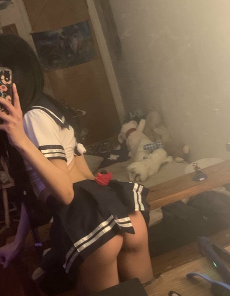 arieneko modèle gratuit img