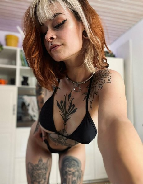 Sallydinosaur étoile collection