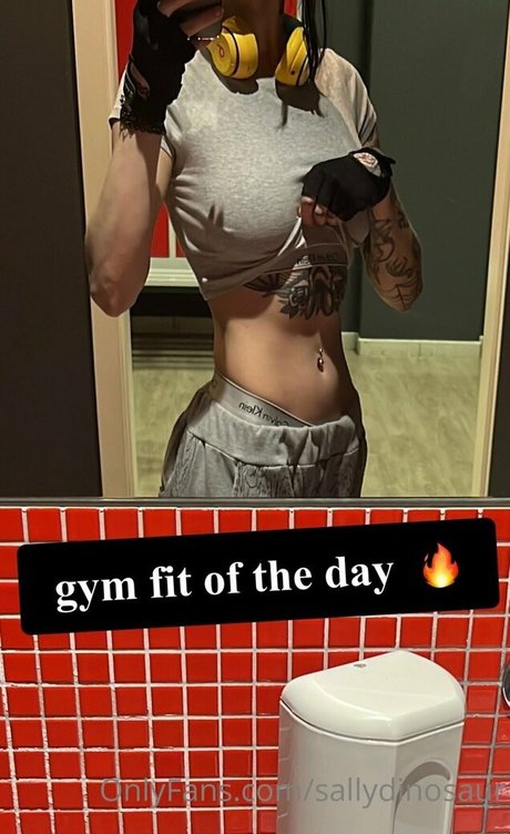 Sallydinosaur joli modèle archive