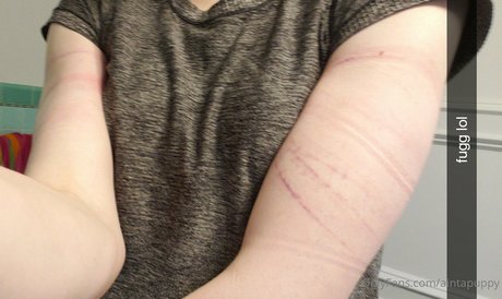 Aintapuppy estrella de alta calidad recopilación