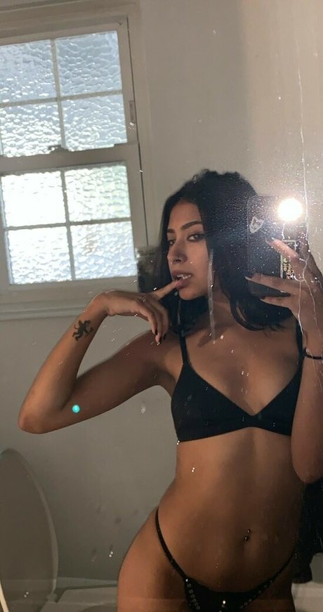 PaintJunkHunny estrella atractiva galerías