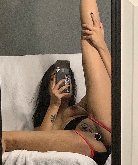 PaintJunkHunny estrella de alta definición fotos