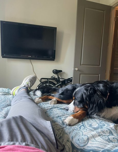 tiktokcody actrice de grande qualité img