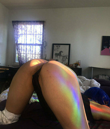 dailydaisy modèle gratuit archive