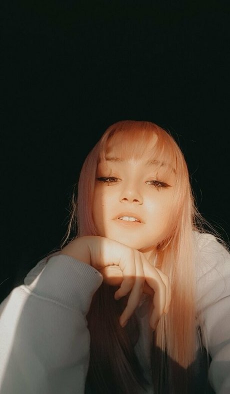 elbaresim2 étoile de haute qualité galeries