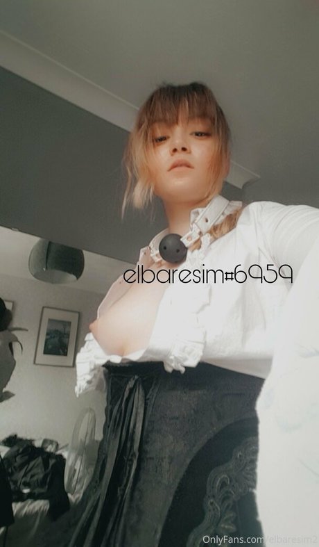 elbaresim2 model free archive