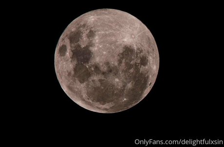 delightfulxsin star du porno chaud collection