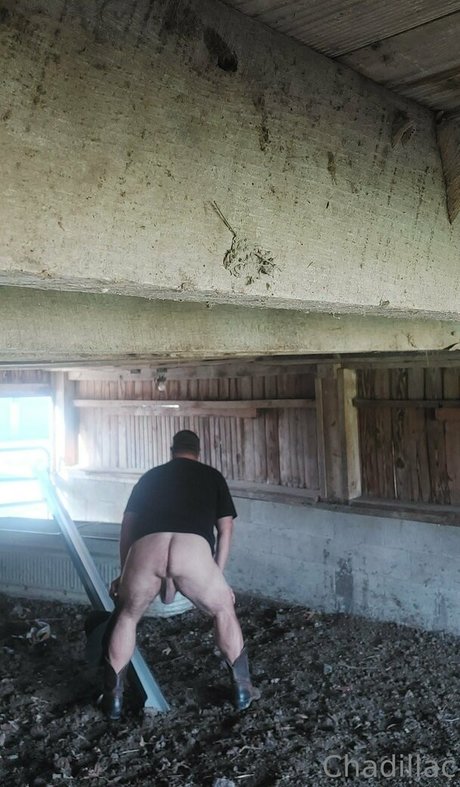 chadillac42 beau modèle des photos