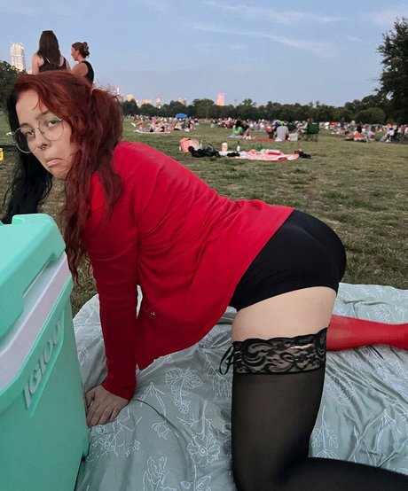 Lvkrd estrella adulta galerías