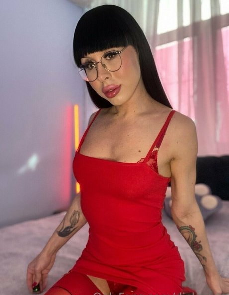 dicksy ts modèle joli collection