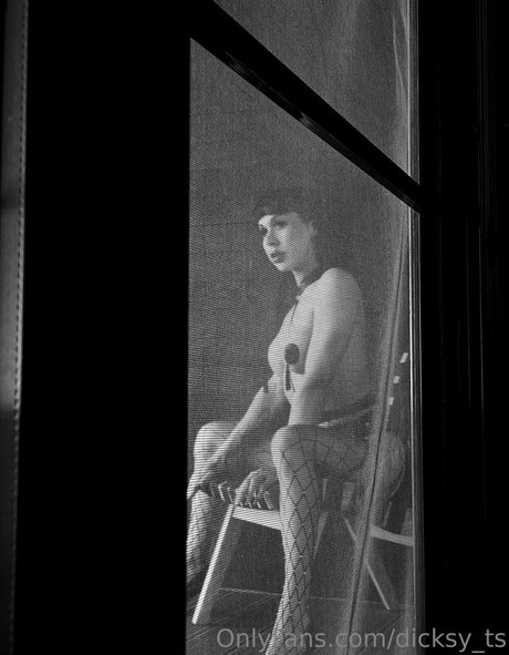 dicksy ts modelo libre archivo