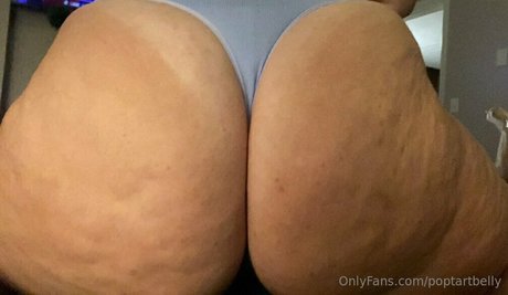 poptartbelly libre de estrellas galerías