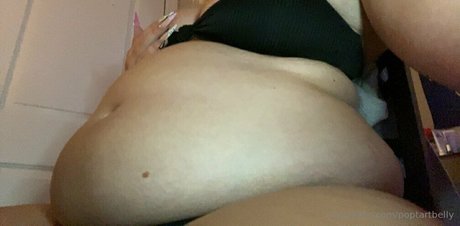 poptartbelly étoile de l'art image