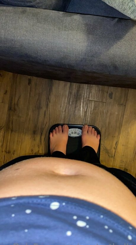 poptartbelly estrella de alta calidad foto