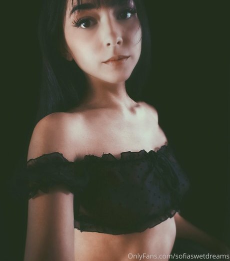 sofiaswetdreams arte estelar galería