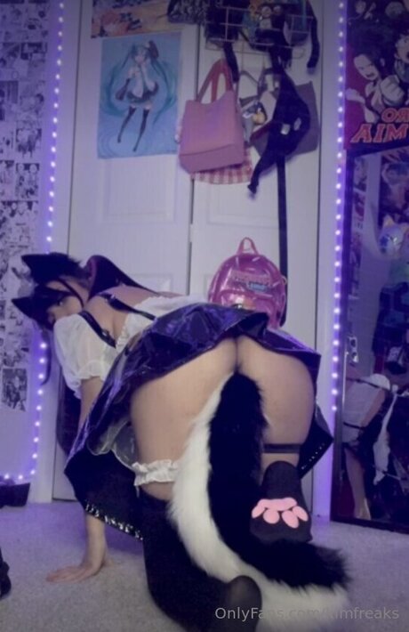 kimfreaks beautiful pornstar gallery