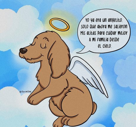 Azucarysal estrella porno de alta calidad recopilación