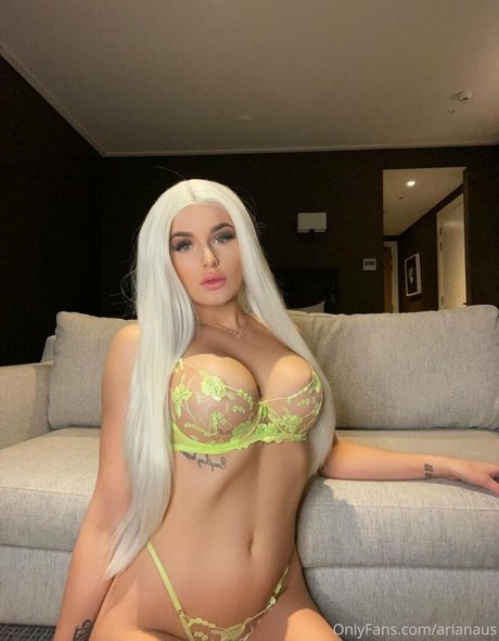 arianaus modelo perfecto archivo