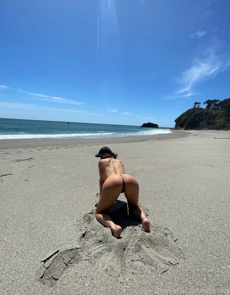 arianaus étoile sympa galerie