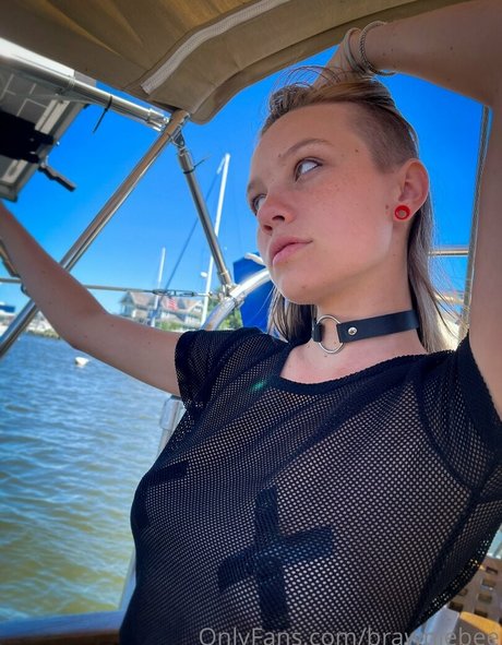 Brawniebee estrella hermosa foto