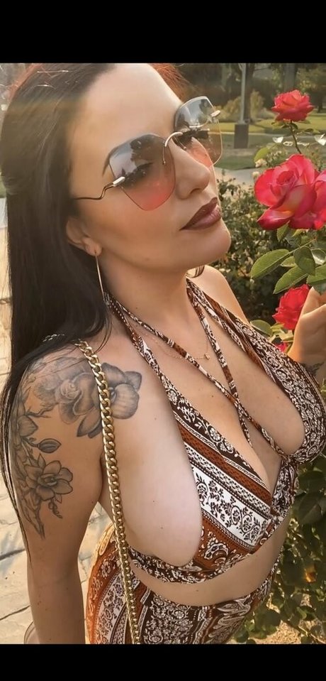 hdexperience estrella de alta calidad archivo