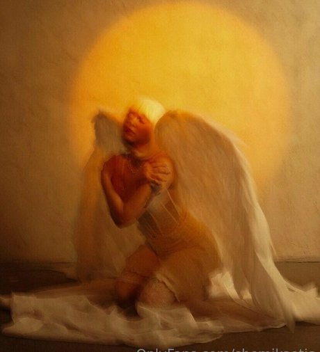 shemikaotis étoile magnifique archive