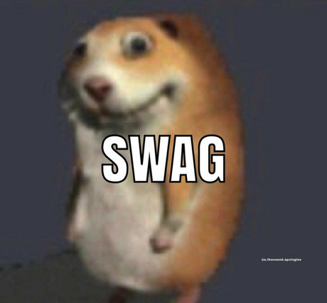 phat whale estrella fotos