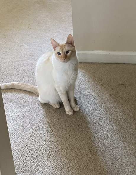 savanahroses estrella porno agradable imágenes