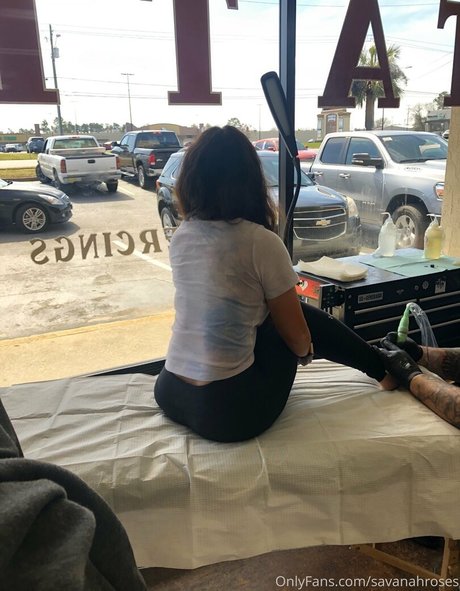 savanahroses art étoile archive