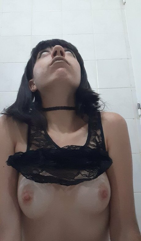 vivibush estrella libre archivo