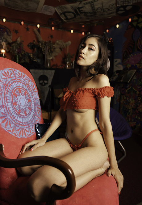 SDFoto modelo de alta definición fotos