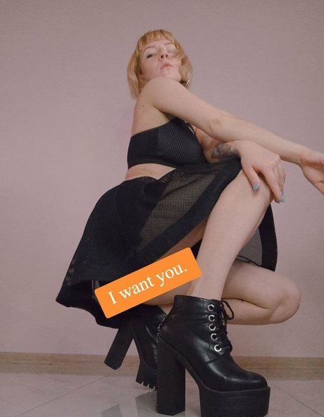 anitanelson estrella de alta definición recopilación