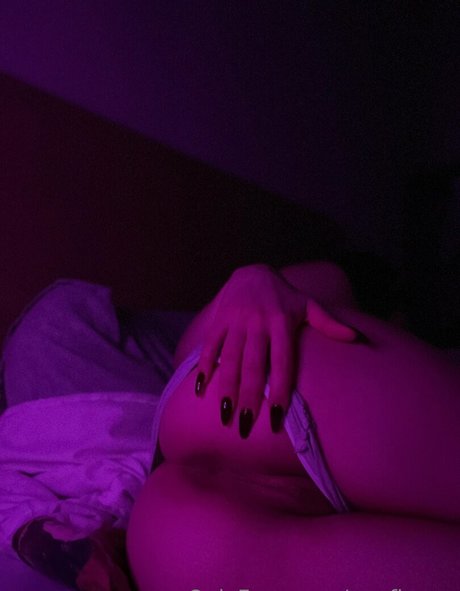 Apofigeaa modèle archive