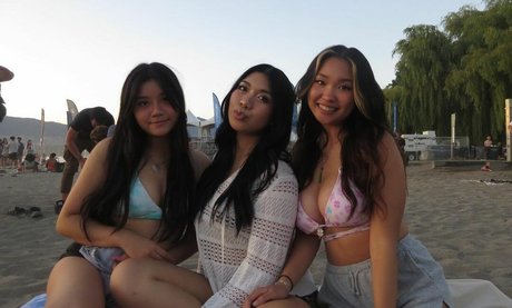 Chaela art de star du porno images