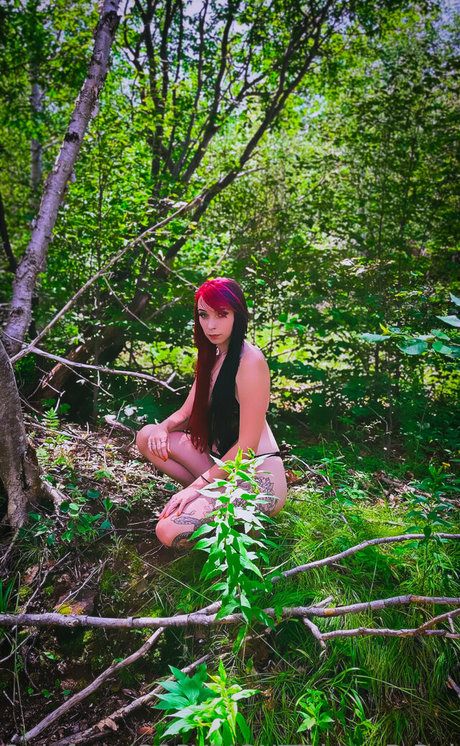 trippy b babez nus star du porno des photos