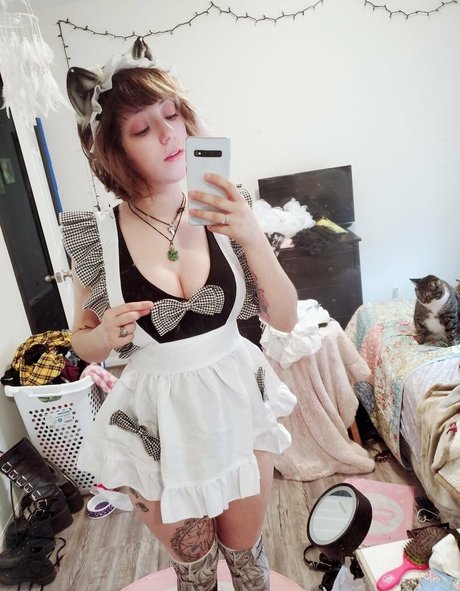 dahliaparisi top star photo