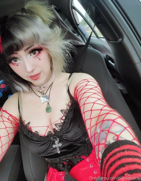 dahliaparisi estrella caliente archivo