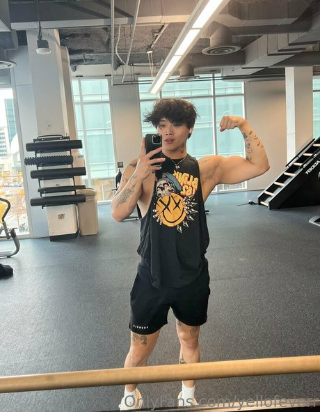 will pyun estrella porno galerías