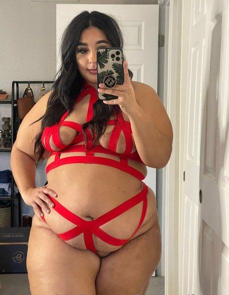 feederandfeedee modèle meilleur img