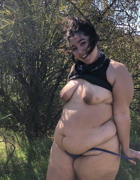 feederandfeedee meilleure étoile image