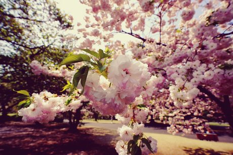 Lencería follada onlyfans desnudos sexo fotos