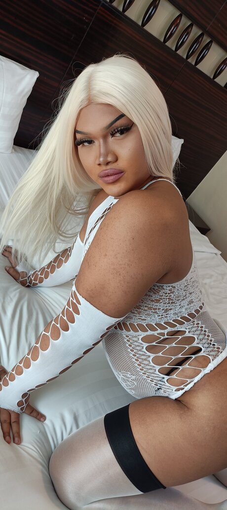 French Baguette mejor modelo recopilación