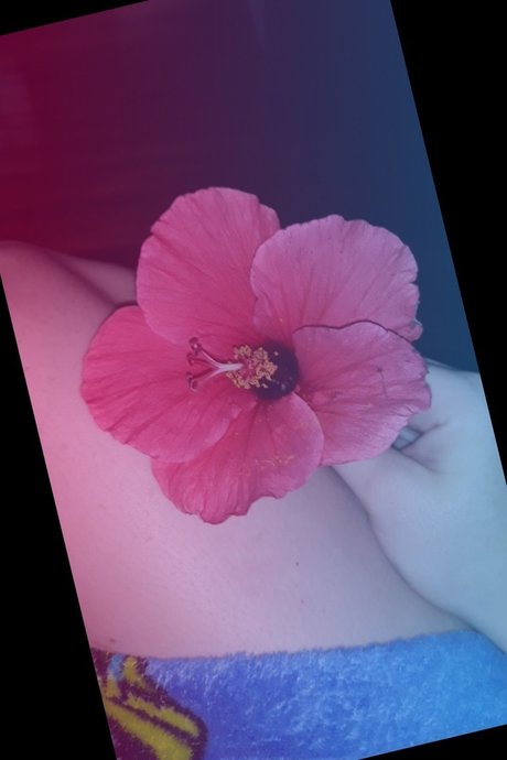 Nicki Dice model galleries