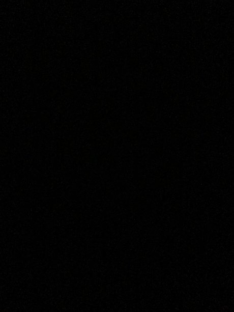 Netta model porn pic