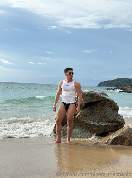 BANK étoile parfaite collection