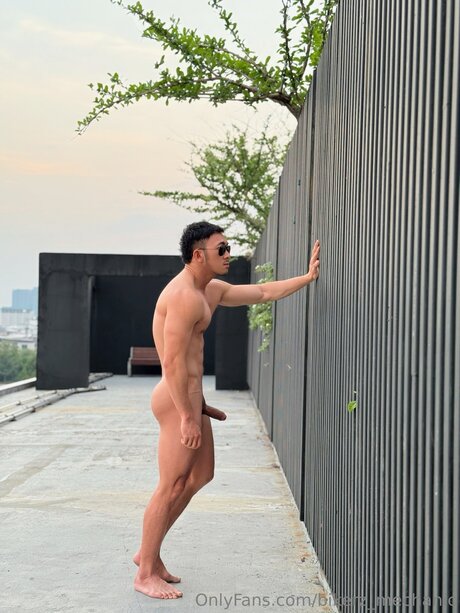 BANK star du porno xxx collection