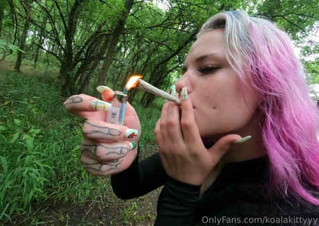 koalakittyyy estrella superior galería